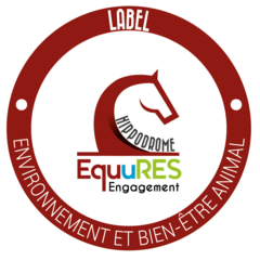 Equures - fond blanc - HIPPODROME - macaron engagement